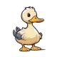 duckduck